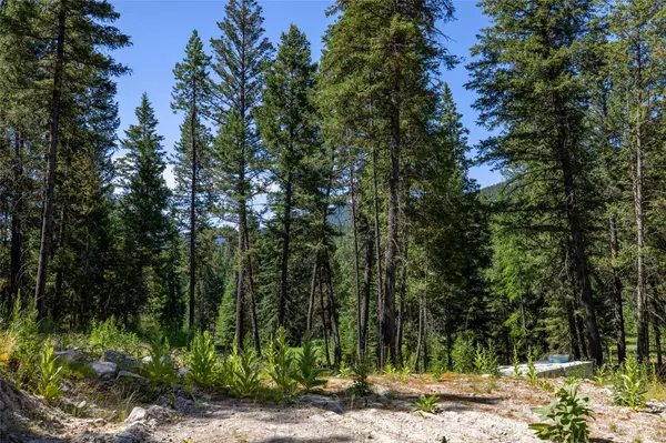 1286 Coon Hollow RD, Kila, MT 59920