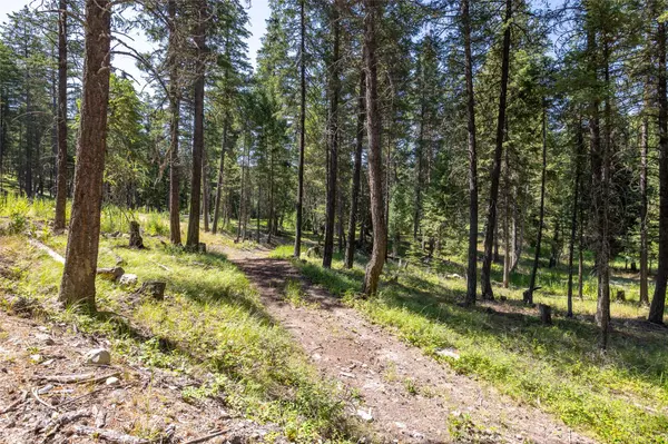 1286 Coon Hollow RD, Kila, MT 59920