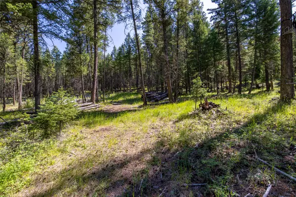 1286 Coon Hollow RD, Kila, MT 59920