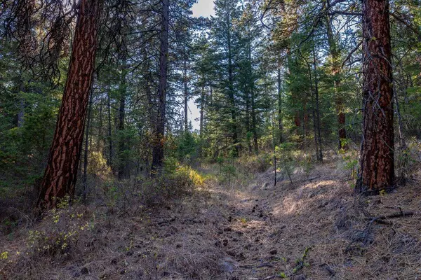 40961 US Hwy 93, Polson, MT 59860