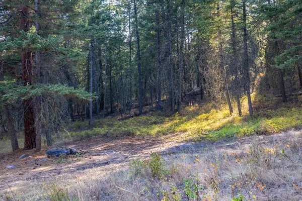 40961 US Hwy 93, Polson, MT 59860