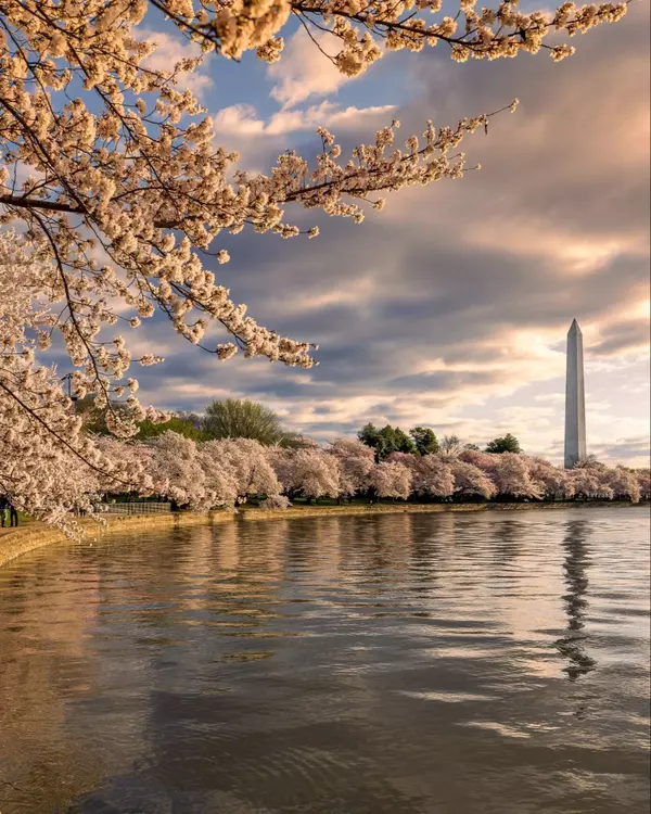 Washington+DC-10949-March+29,+2021