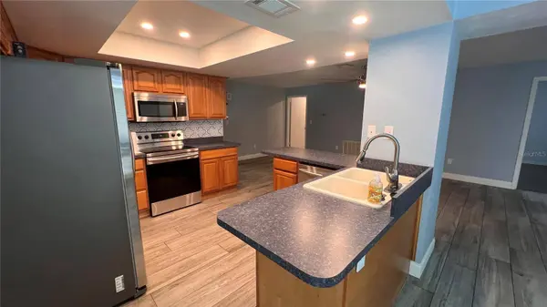 10007 LINDEN PLACE DR, Seminole, FL 33776