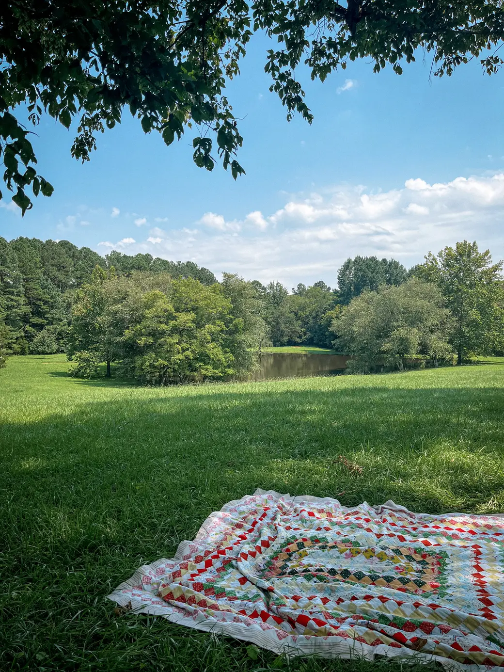 Why Mount Juliet Is One of Nashville’s Best Suburbs for a Balanced Lifestyle