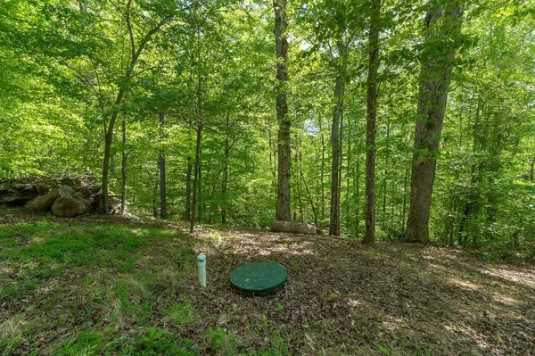 474 Timberlake Dr, Smithville, TN 37166