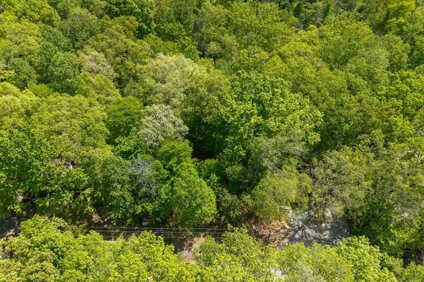 474 Timberlake Dr, Smithville, TN 37166