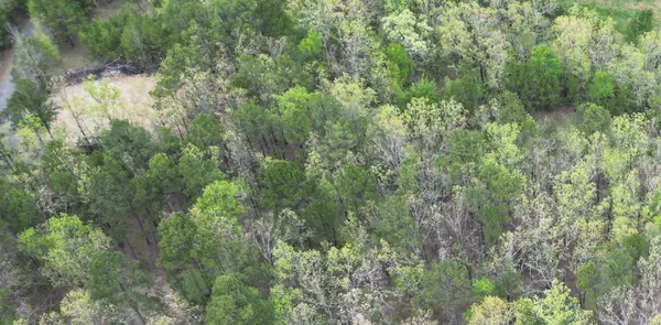 Lots 76-78 Red Oak Drive, Mena, AR 71953