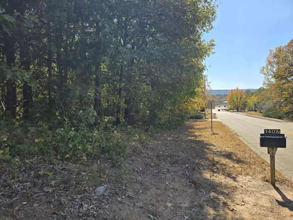 TBD Cole & Reine, Mena, AR 71953