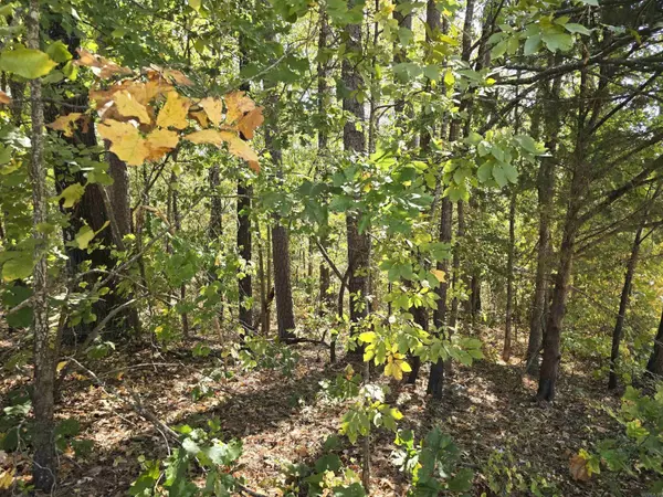 TBD Cole & Reine, Mena, AR 71953