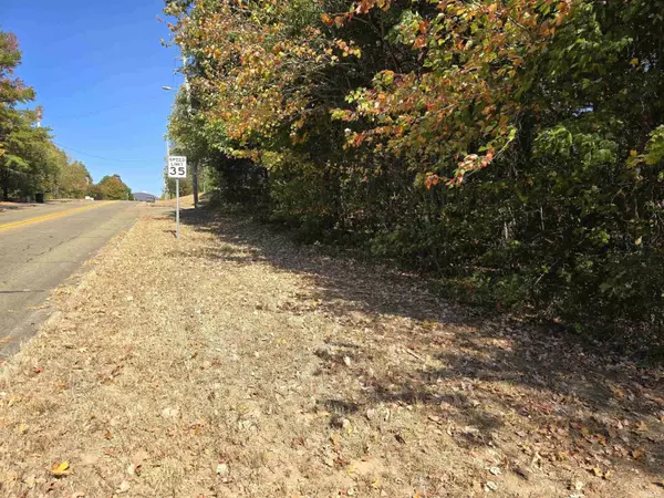 TBD Cole & Reine, Mena, AR 71953