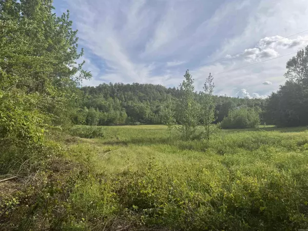 Tract 3 Jaymeson RD, Oden, AR 71961