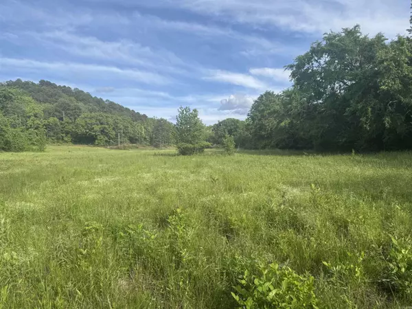 Tract 3 Jaymeson RD, Oden, AR 71961