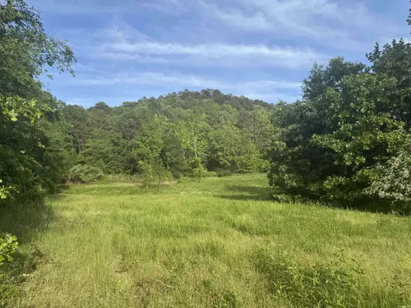 Tract 3 Jaymeson RD, Oden, AR 71961