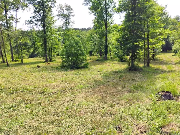 Tract 1 Kulp Road, Boles, AR 72926