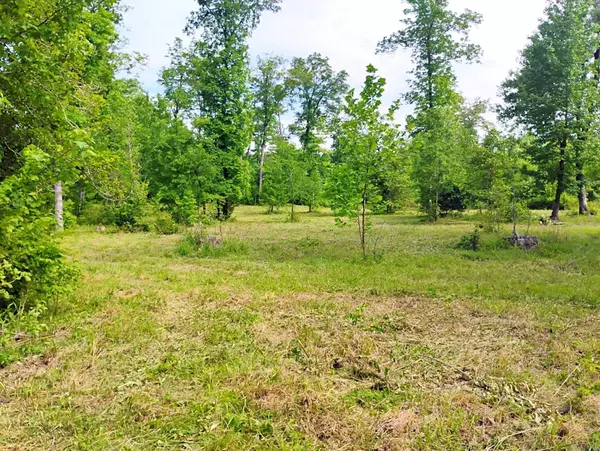 Tract 1 Kulp Road, Boles, AR 72926