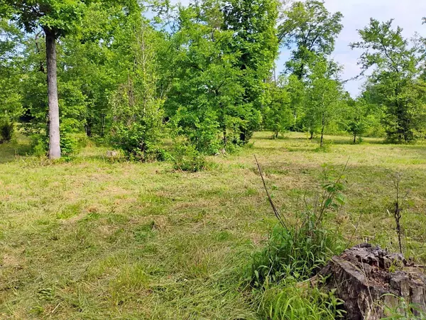 Tract 1 Kulp Road, Boles, AR 72926