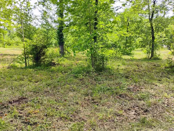 Tract 1 Kulp Road, Boles, AR 72926