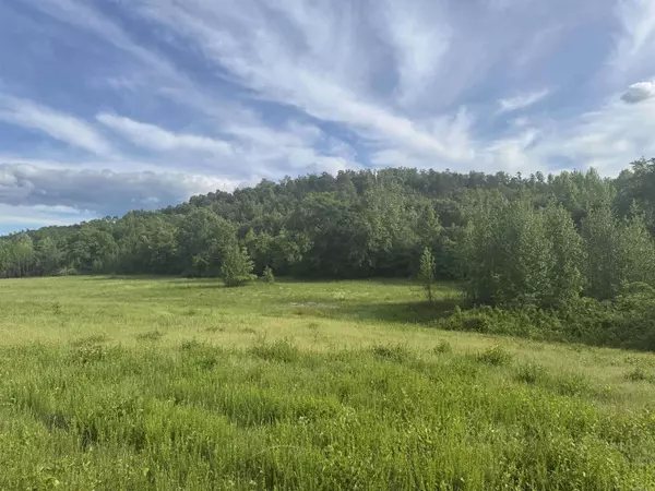 Tract 3 Jaymeson RD, Oden, AR 71961