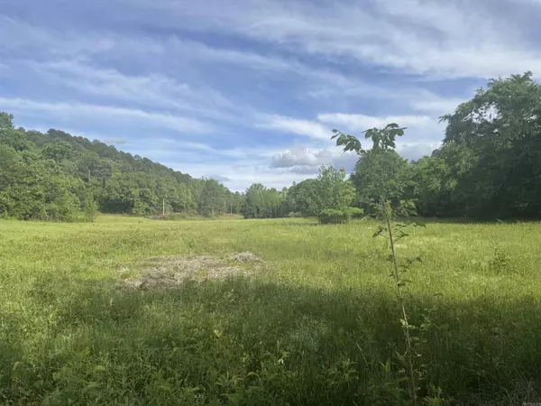 Tract 3 Jaymeson RD, Oden, AR 71961