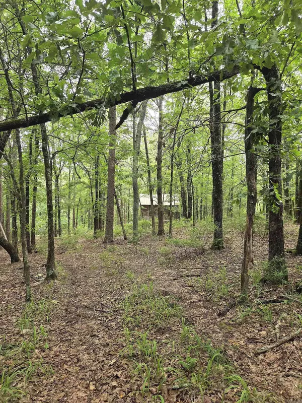 301 Chaparral Lane, Mena, AR 71953