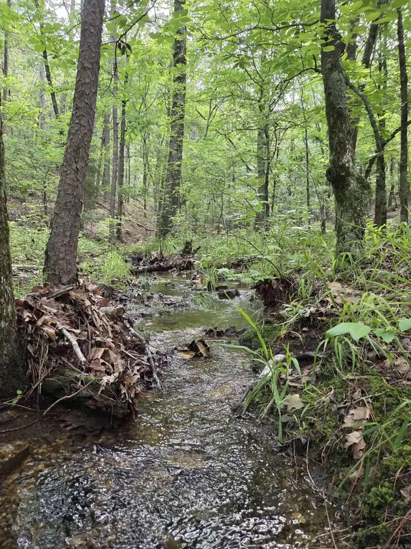 301 Chaparral Lane, Mena, AR 71953