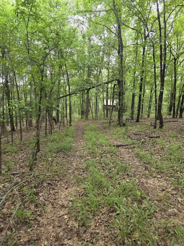 301 Chaparral Lane, Mena, AR 71953