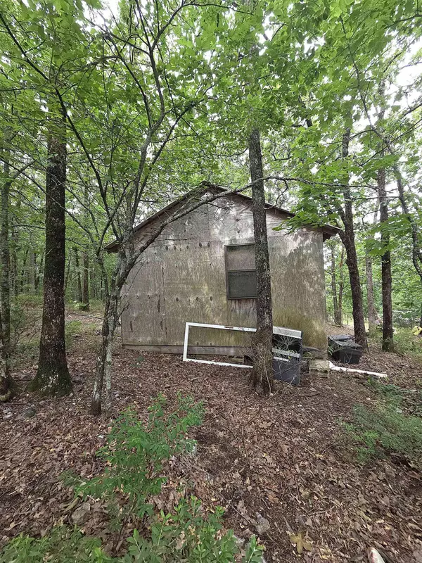 301 Chaparral Lane, Mena, AR 71953