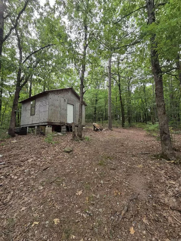 301 Chaparral Lane, Mena, AR 71953