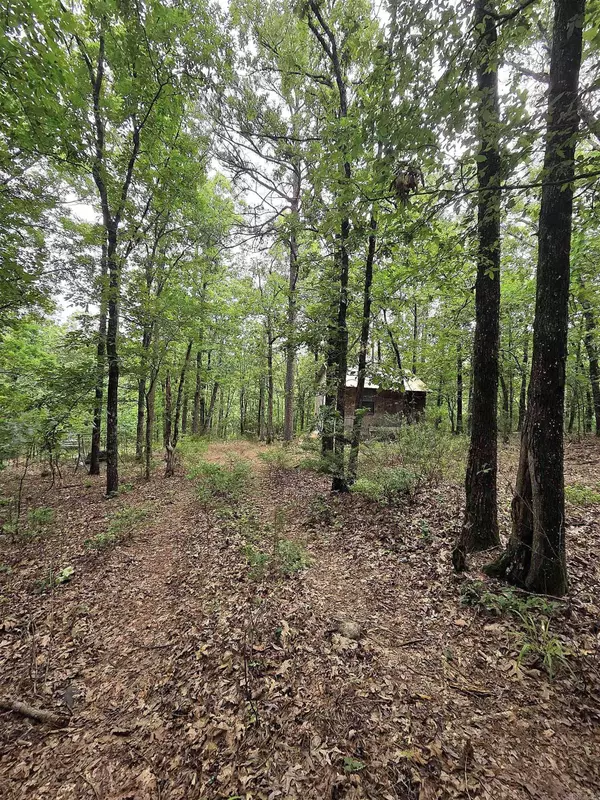 301 Chaparral Lane, Mena, AR 71953