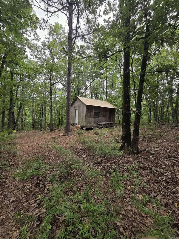 301 Chaparral Lane, Mena, AR 71953