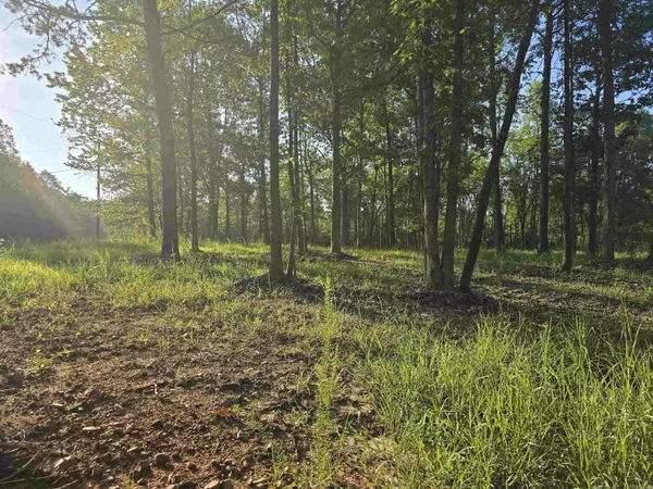 210 Polk Road 121, Mena, AR 71953