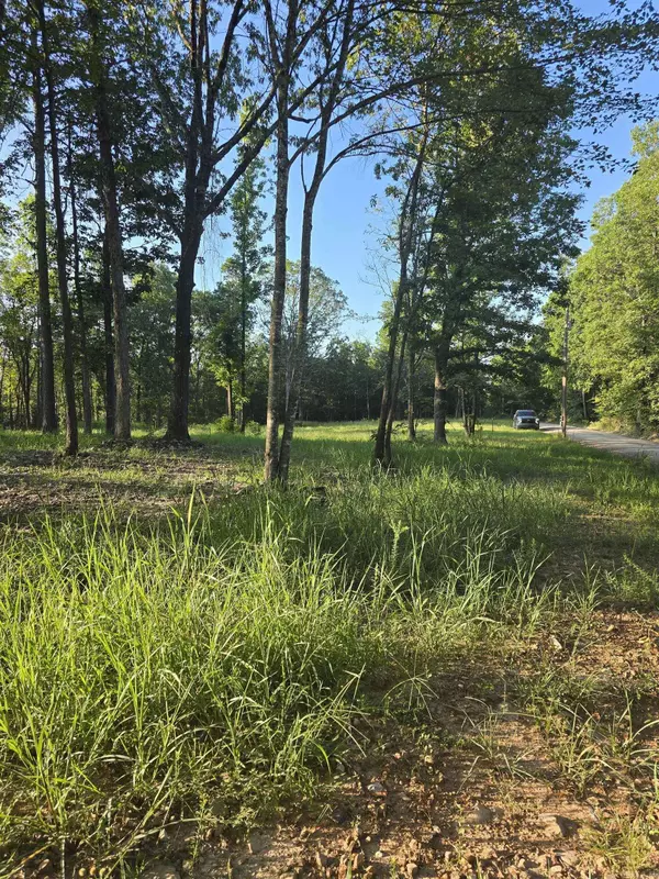 210 Polk Road 121, Mena, AR 71953