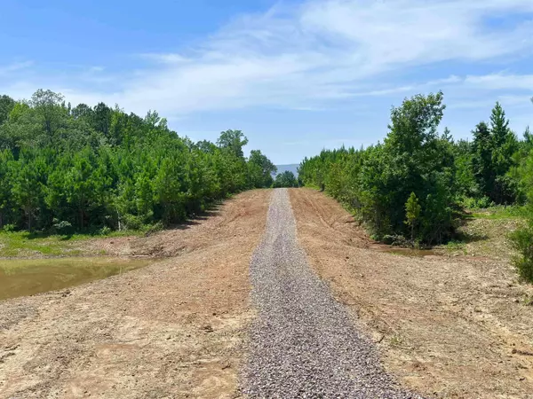 Tract 2B Avalon Lake Lane, Mena, AR 71953