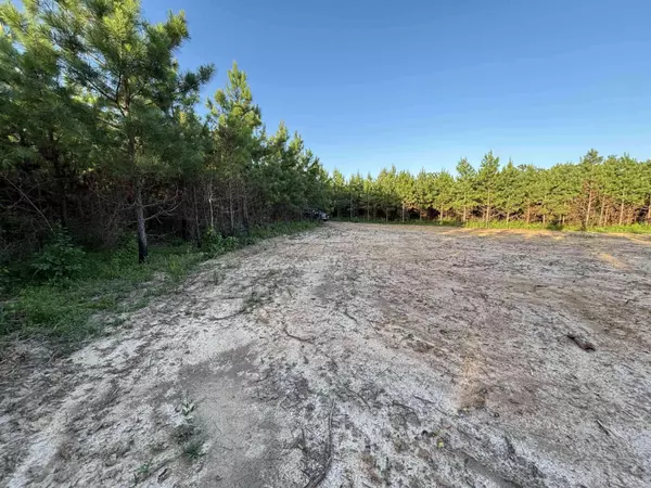 Tract 2B Avalon Lake Lane, Mena, AR 71953