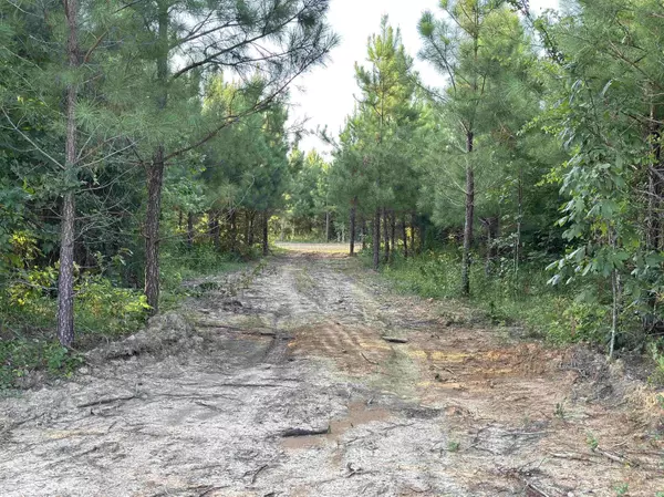 Tract 2A Avalon Lake Lane, Mena, AR 71953