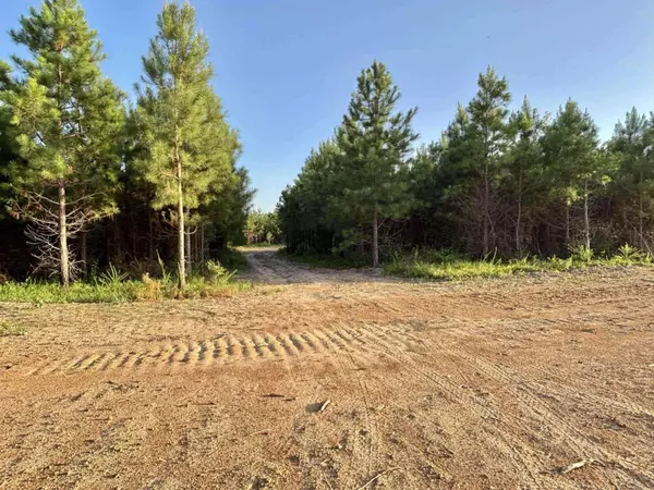 Tract 2B Avalon Lake Lane, Mena, AR 71953