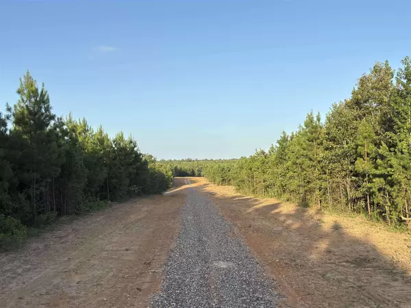 Tract 2C Avalon Lake Lane, Mena, AR 71953