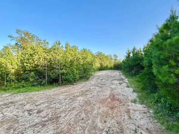 Tract 2C Avalon Lake Lane, Mena, AR 71953
