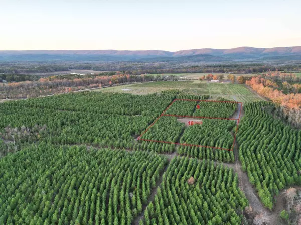 Tract 9 Serenity Lane, Mena, AR 71953