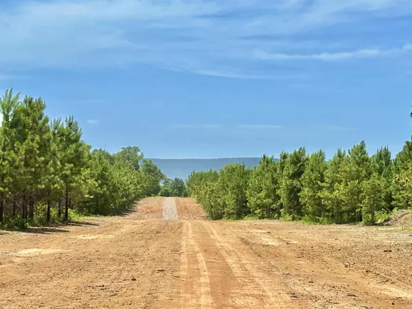 Tract 2B Avalon Lake Lane, Mena, AR 71953