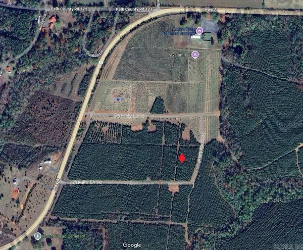 Tract 9 Serenity Lane, Mena, AR 71953