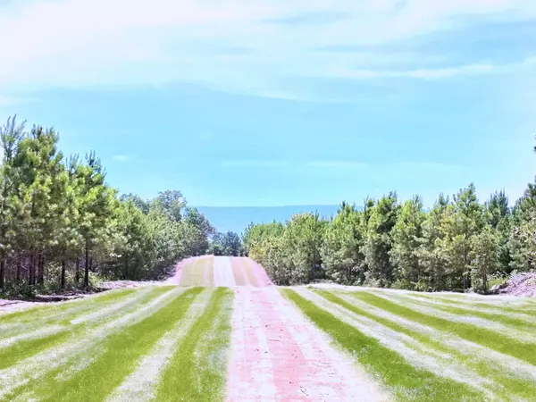 Tract 2C Avalon Lake Lane, Mena, AR 71953