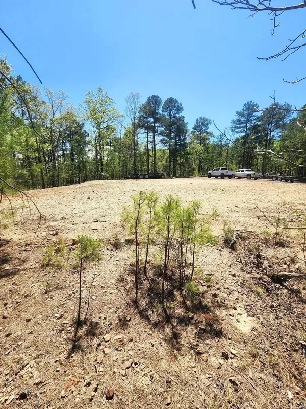 Lots 76-78 Red Oak Drive, Mena, AR 71953