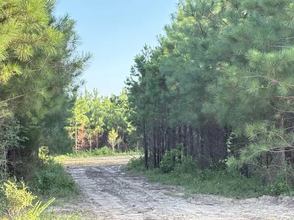 Tract 2B Avalon Lake Lane, Mena, AR 71953