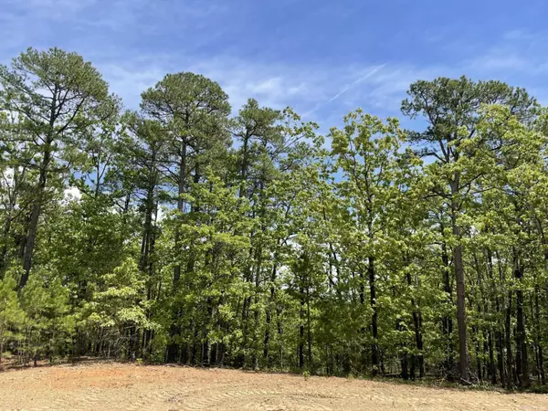 Lots 76-78 Red Oak Drive, Mena, AR 71953