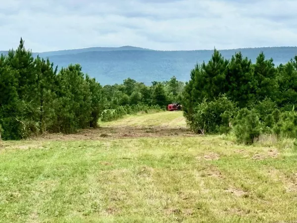 Tract 9 Serenity Lane, Mena, AR 71953