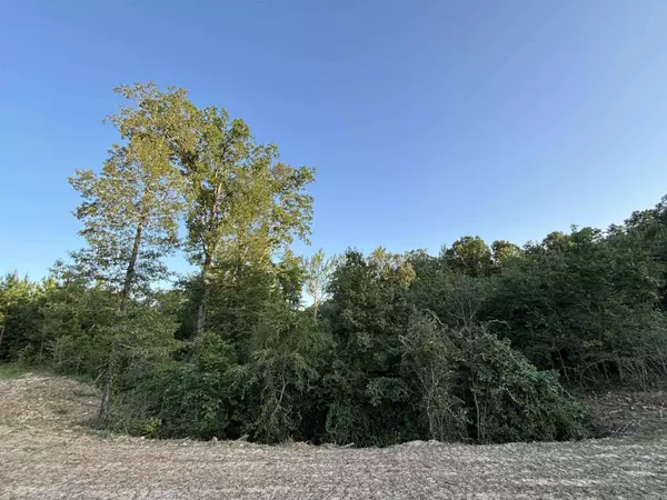 Tract 2A Avalon Lake Lane, Mena, AR 71953