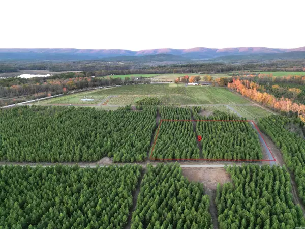 Tract 9 Serenity Lane, Mena, AR 71953