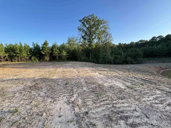 Tract 2A Avalon Lake Lane, Mena, AR 71953