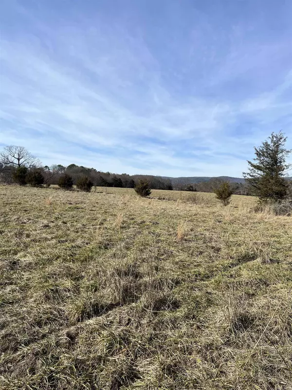 TBD. 70 acres Polk Road 85, Mena, AR 71953